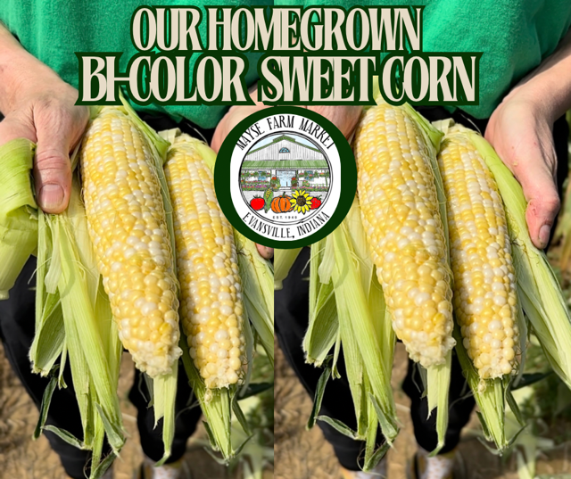 image-1000115-Bi-Color_graphic-e4da3.w640.png