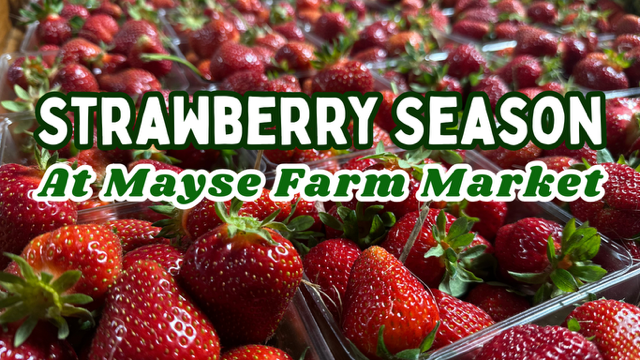 image-1011275-Strawberry_Season_banner-e4da3.w640.png