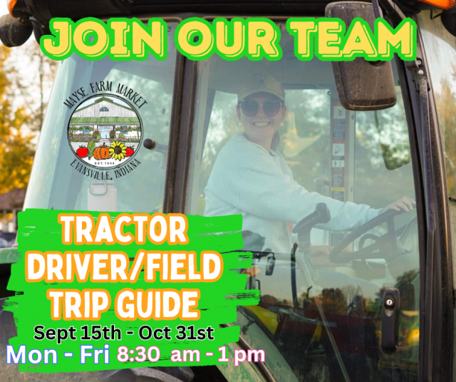 image-1013791-Ellie_Tractor_Driver_field_trip_guide_hiring-6512b.w640.png