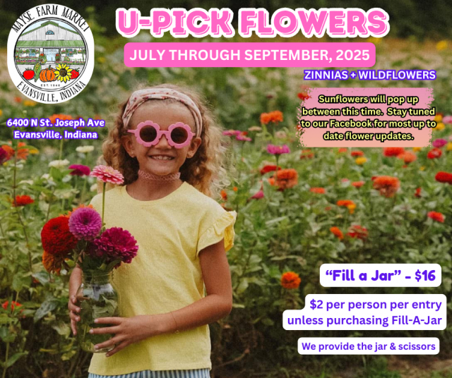 image-1013834-Girl_with_flower_glasses_picking_flowers_(3)-16790.w640.png