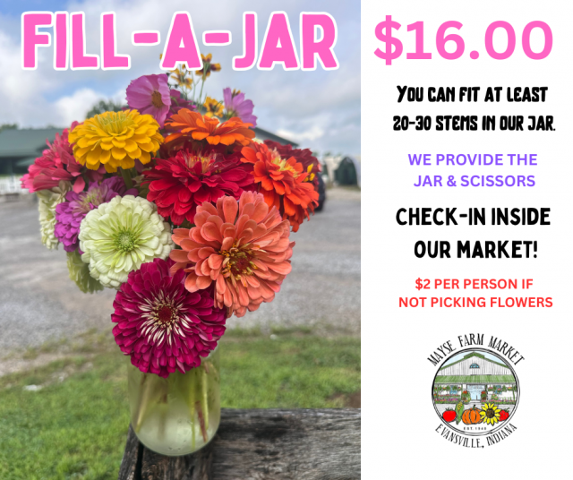 image-1013835-Fill_a_Jar-9bf31.w640.png