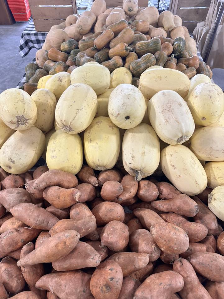 image-1015384-fall_squash__sweet_potatoes-16790.jpg