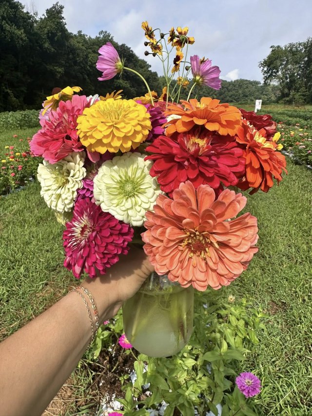 image-1015388-holding_jar_flowers-c9f0f.w640.jpg