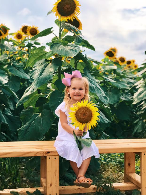 image-833600-Sunflower_little_girl-6512b.jpg