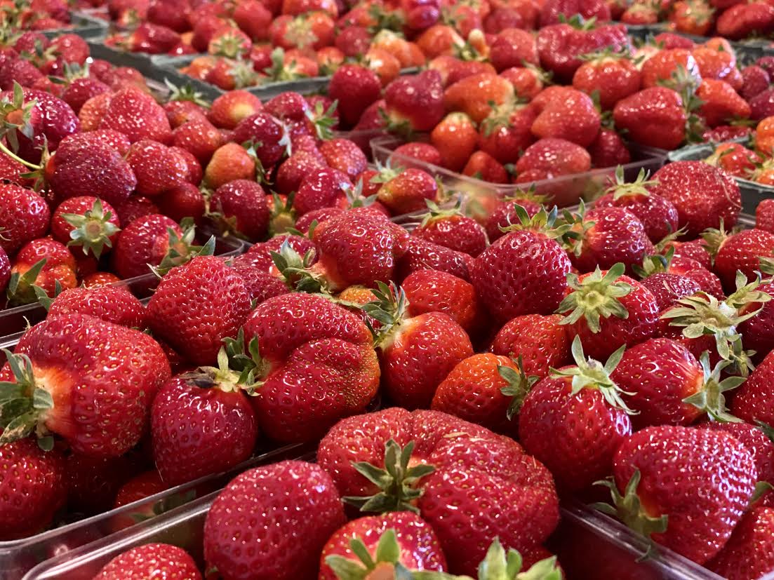 image-882476-Strawberries_2020-45c48.jpg