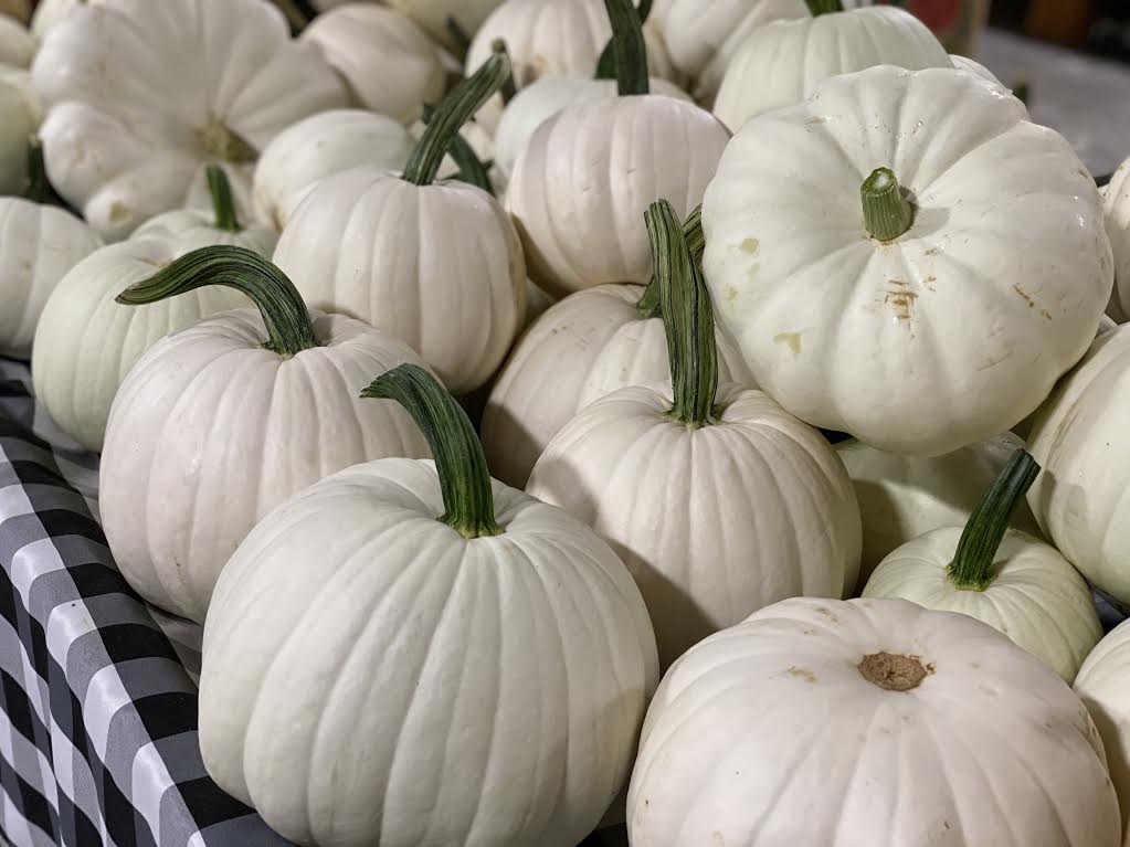 image-894481-FALL_DECOR_5-9bf31.jpg