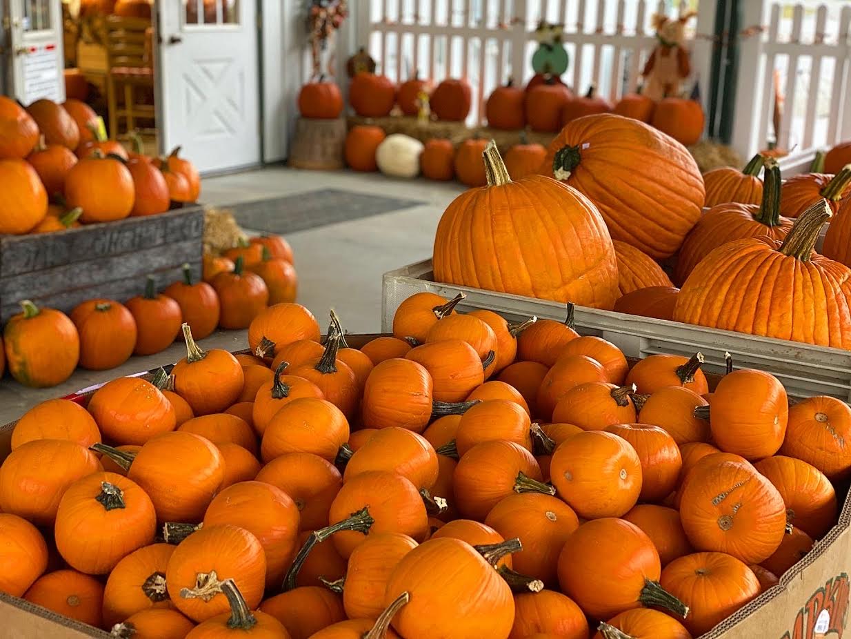 image-936245-Jack_O_latern_display-aab32.jpg
