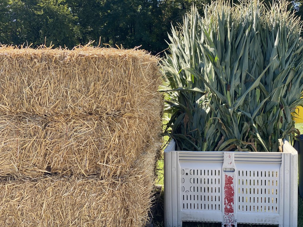 image-937118-corn_stalks_and_straw_bales-9bf31.w640.jpg