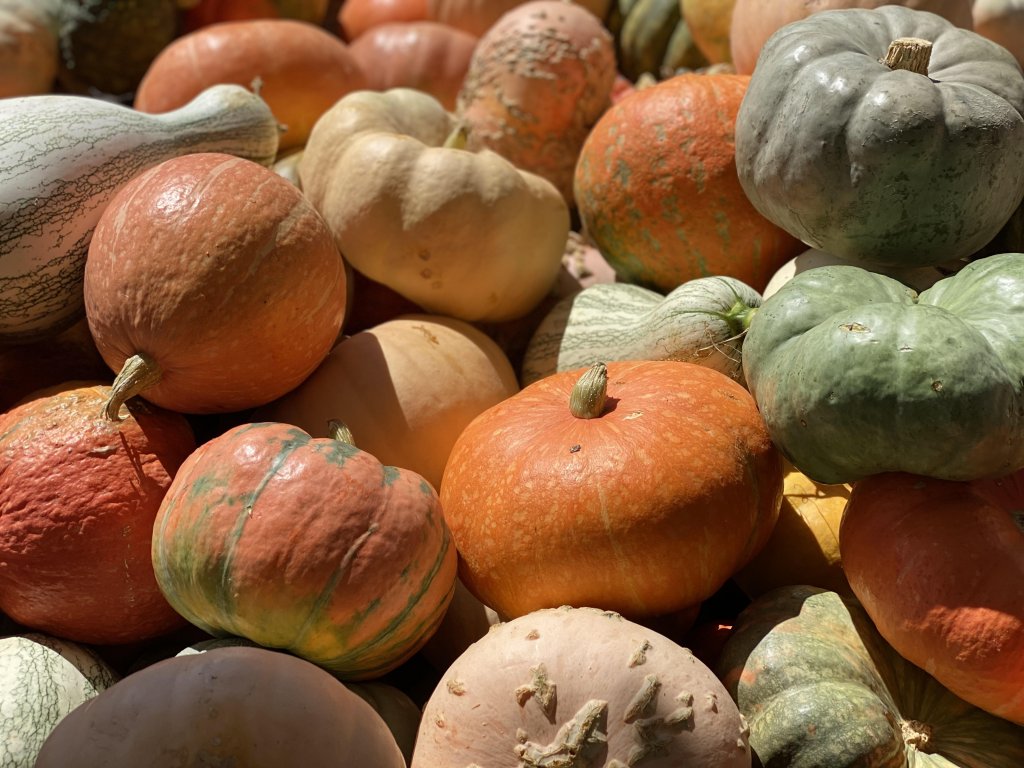 image-937117-pumpkins_display_1-6512b.w640.jpg