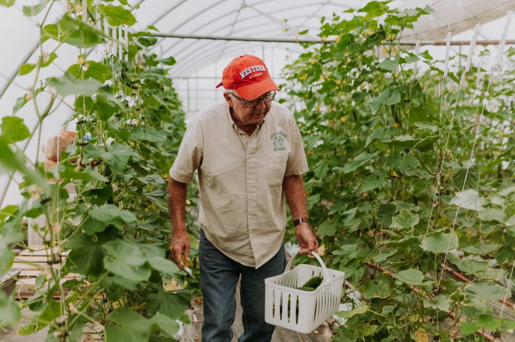 image-963474-Papa_Picking_Cucumbers-c9f0f.w640.jpg