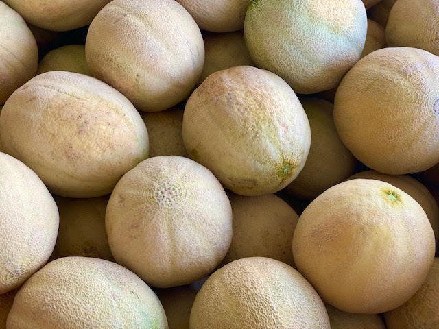 image-964846-Athena_Cantaloupes-c9f0f.jpg