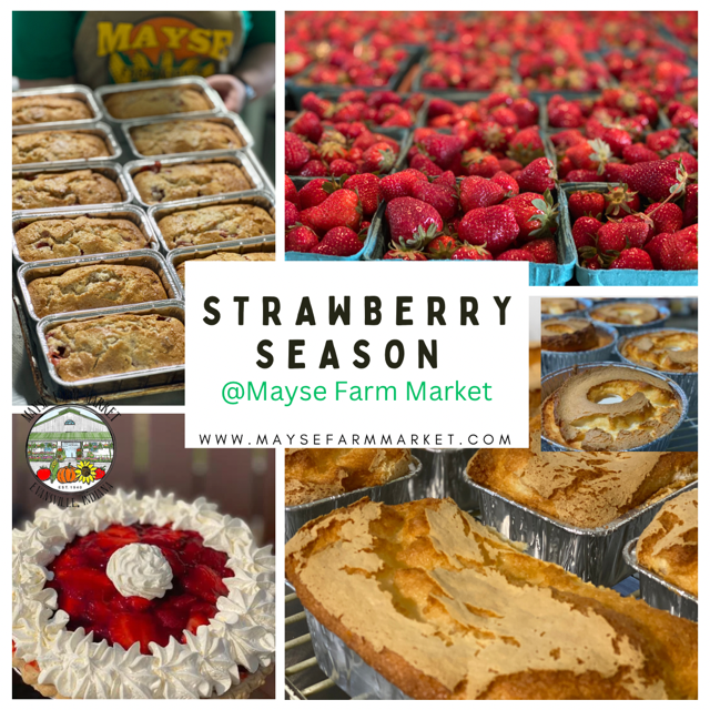 image-983154-Banner_with_Strawberry_Season-c51ce.w640.png