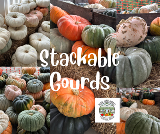 image-988212-stackable_pumpkins-c20ad.png