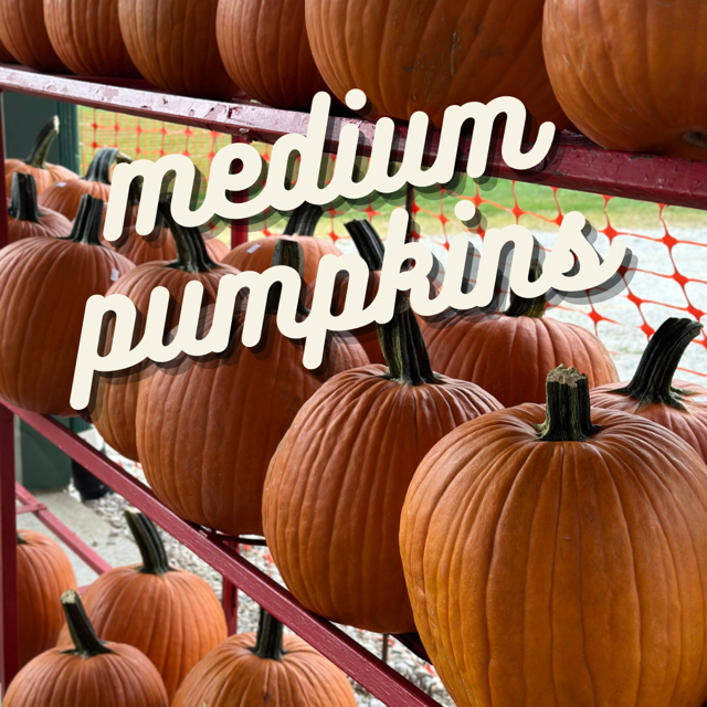 image-990115-medium_pumpkin_graphic-c20ad.w640.png